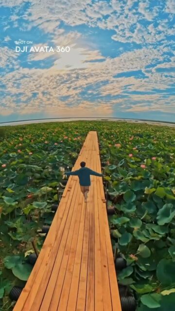 Experimenta el mundo desde una perspectiva completamente nueva con el DJI Avata 360. Combina la adrenalina del vuelo inmersivo con gafas FPV y la magia de la grabación en 360 grados para que tus videos sean verdaderamente épicos.
🌻 Inmersión total: Siente cada maniobra y domina los cielos con un control intuitivo que te hace parte del paisaje.
🔄 Perspectiva 360°: Captura todo tu entorno sin perder un solo detalle de la acción.
🎥 Estabilidad increíble: Tomas fluidas y nítidas, perfectas para recorrer desde campos de girasoles hasta atardeceres sobre el agua.
Ven a conocerlo y llévate el tuyo en nuestras tiendas físicas:
📍 Madrid Norte: Centro Comercial La Vaguada
📍 Madrid Sur: Centro Comercial Westfield Parquesur
📍 Barcelona: Centro Comercial Westfield La Maquinista
📍 Donostia / San Sebastián: Centro Comercial Garbera
🌐 www.djistoreiberia.com
#DJI #DJIAvata360 #VueloInmersivo #DronesFPV #Kazajistan #Perspectiva360 #DJIStoreIberia #CreadoresDeContenido